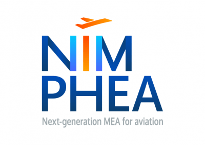 NIMPHEA – D4.4 Simulation of the electrochemical interface